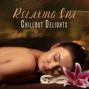 Relaxing Spa Chillout Delights: Soothing Massage Music, Spa Lounge, Chillout for Spa Salon - Spa Chillout Music Collection