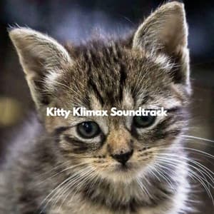 Kitty Klimax Soundtrack - Super Jazz Cafe Music