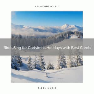 Birds Sing for Christmas Holidays with Best Carols - Sounds of Nature Relaxation