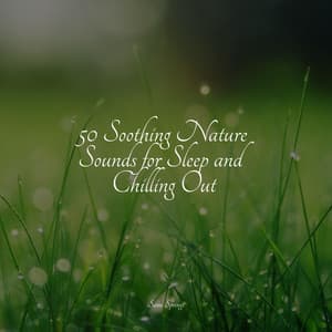 50 Soothing Nature Sounds for Sleep and Chilling Out - Rain Makers