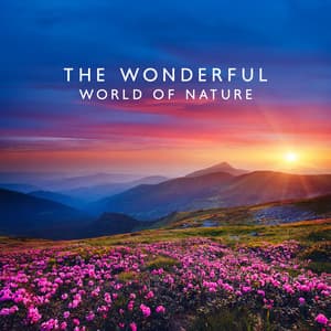 The Wonderful World of Nature: Yoga & Inner Contemplation, Ambient Harmony, Meditation Music Zone - Hipnose Natureza Sons Coleção