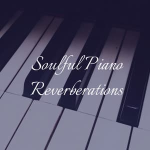 Soulful Piano Reverberations - Moonlight Sonata