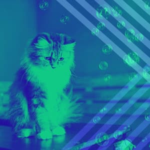 Music for Calming for Cats - Music for Resting Cats
