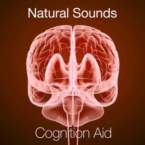 Natural Sounds - Cognition Aid - Exam Study Nature Music Nature Sounds