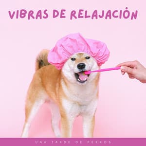 Vibras De Relajación: Una Tarde De Perros - Armonía de Reiki
