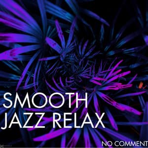 No Comment - Smooth Group Inc