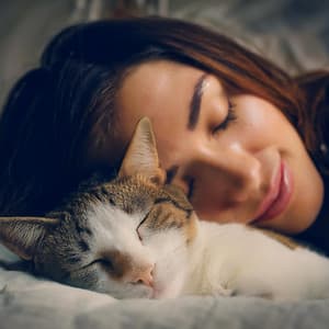 Ritmos Lofi Para Relajar Y Reconfortar A Los Gatos - Barba armónica