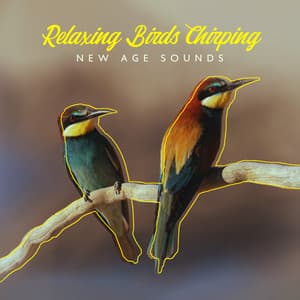Relaxing Birds Chirping: New Age Sounds for Stress Relief and Better Sleep - Close to Nature Music Ensemble