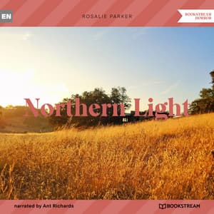 Northern Light - Ant Richards