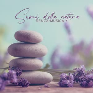 Suoni della natura senza musica: Atmosfera di natura incontaminata, Meditazione profonda e autoconoscenza, Pulizia emozionale - Meditazione zen musica