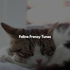 Feline Frenzy Tunes - Morning Jazz