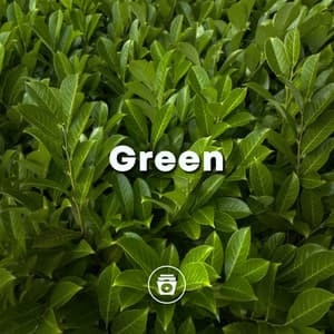 Green - Rain Sounds Sleep