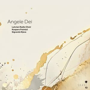 Angele Dei - Latvian Radio Choir