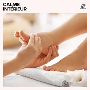 Calme Intérieur: Musique pour Spa et Relaxation - Musique Zen Garden