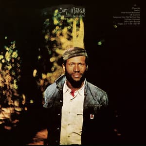 Happy Just To Be Like I Am - Taj Mahal