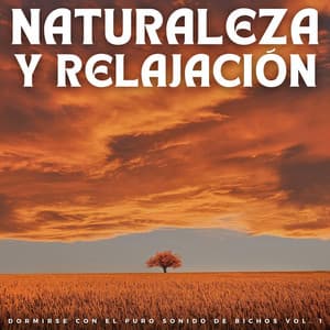 Naturaleza Y Relajación: Dormirse Con El Puro Sonido De Bichos Vol. 1 - Melodía de la tierra