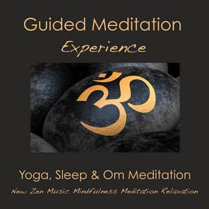 Guided Meditation Experience: Yoga, Sleep & Om Meditation - New Zen Music, Mindfulness Meditation Relaxation - Meditation Spirit