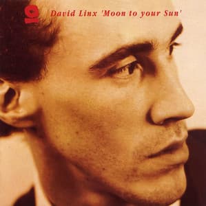 Moon To Your Sun - David Linx