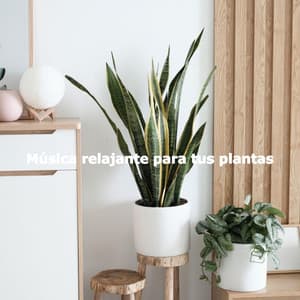 Música relajante para tus plantas - Musica Rilassante Mattutina Orchestra