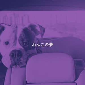 わんこの夢 - Cafe Music