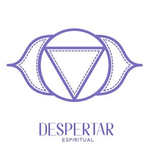 Despertar Espiritual - La Academia de Música para la Meditación de Sanación