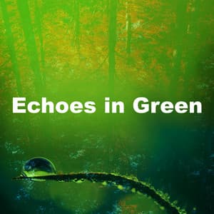 Echoes in Green - Relaxing Nature Ambience
