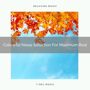 Colourful Noise Selection For Maximum Rest - Pure Deep Sleep White Noise
