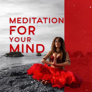 Introspection for Your Mind - Mary Flowes