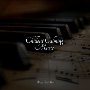 Chillout Calming Music - Massage Music