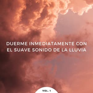 Duerme Inmediatamente Con El Suave Sonido De La Lluvia Vol. 1 - Sonido de lluvia para dormir