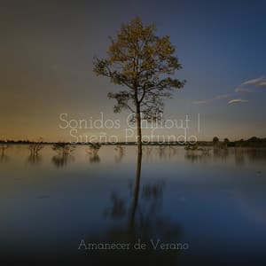 Sonidos Chillout | Sueño Profundo - Mantra para Dormir