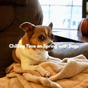 Chilling Time on Spring with Dogs - Jazz Music for Dogs