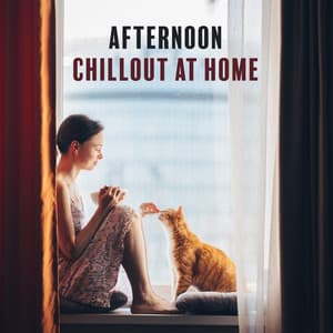 Afternoon Chillout at Home - Balanced New Age Rhythms
