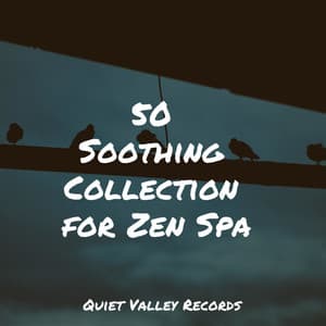 50 Soothing Collection for Zen Spa - Dr. Meditation