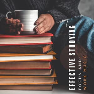 Effective Studying, Focus and Work Music: Nature Sounds to Stimulate Brain, Improve Concentration and Boost Your Performance - Nature Sounds Paradise