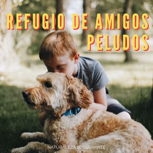Refugio De Amigos Peludos: Naturaleza Susurrante - 101 Naturaleza