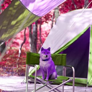 Marvellous Piano Bossa Duo - Background for Doggy Night Walks - Dog Music Radio