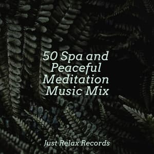 50 Spa and Peaceful Meditation Music Mix - Música Zen Relaxante