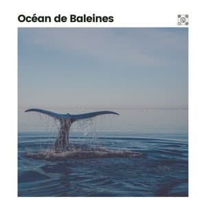 Océan de Baleines - Vagues Dans La Mer