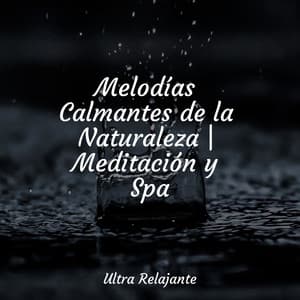 Melodías Calmantes de la Naturaleza | Meditación y Spa - Sueño Lucido