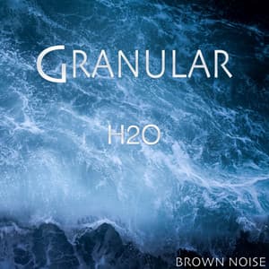 H2O - Granular