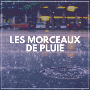 Les Morceaux de Pluie - Pluie et tonnerre