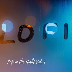 Lofi in the Night Vol. 1 - HIP-HOP LOFI