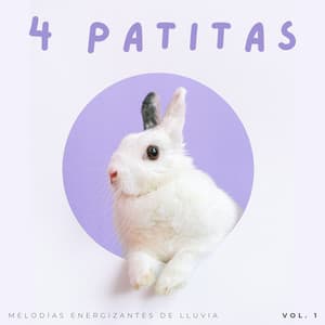 4 Patitas: Melodías Energizantes De Lluvia Vol. 1 - Lluvia Relajante