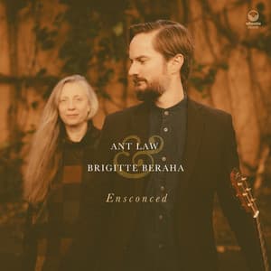 Ensconced - Ant Law