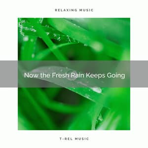 2020 Best: Now the Fresh Rain Keeps Going - Rainfall For Sleep