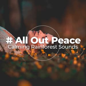 # All Out Peace - Calming Rainforest Sounds