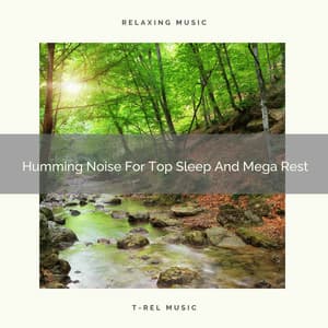 Humming Noise For Top Sleep And Mega Rest - Baby Shusher And Lullaby
