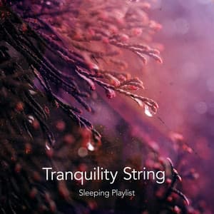 Tranquility String - Sleeping Playlist