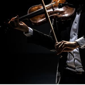 Symphony in the Meadow: Gentle Orchestra Echoes - Jason Humphries